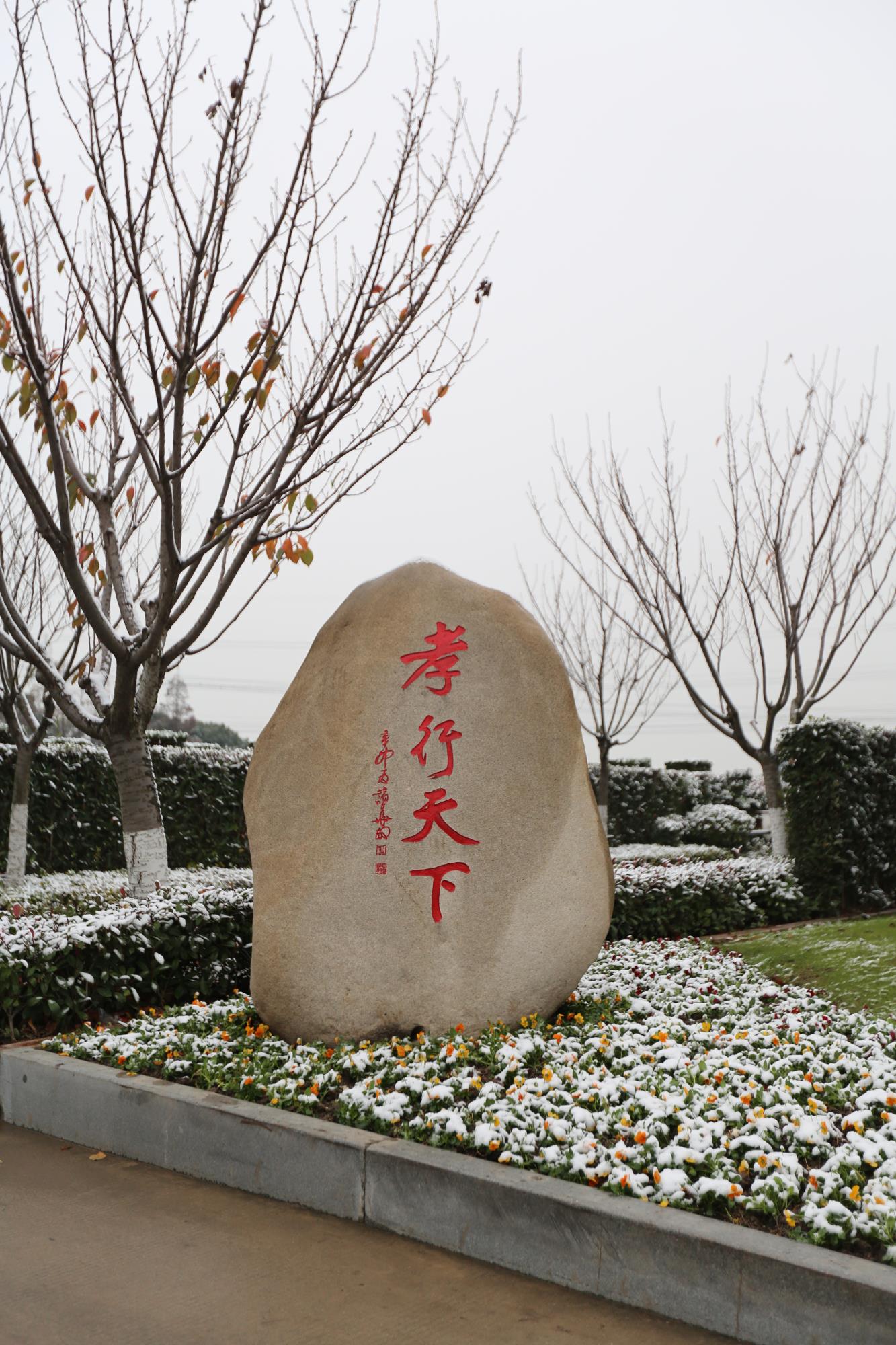 410A6925.JPG