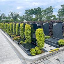 上海優(yōu)質(zhì)墓地