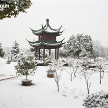 松鶴雪景