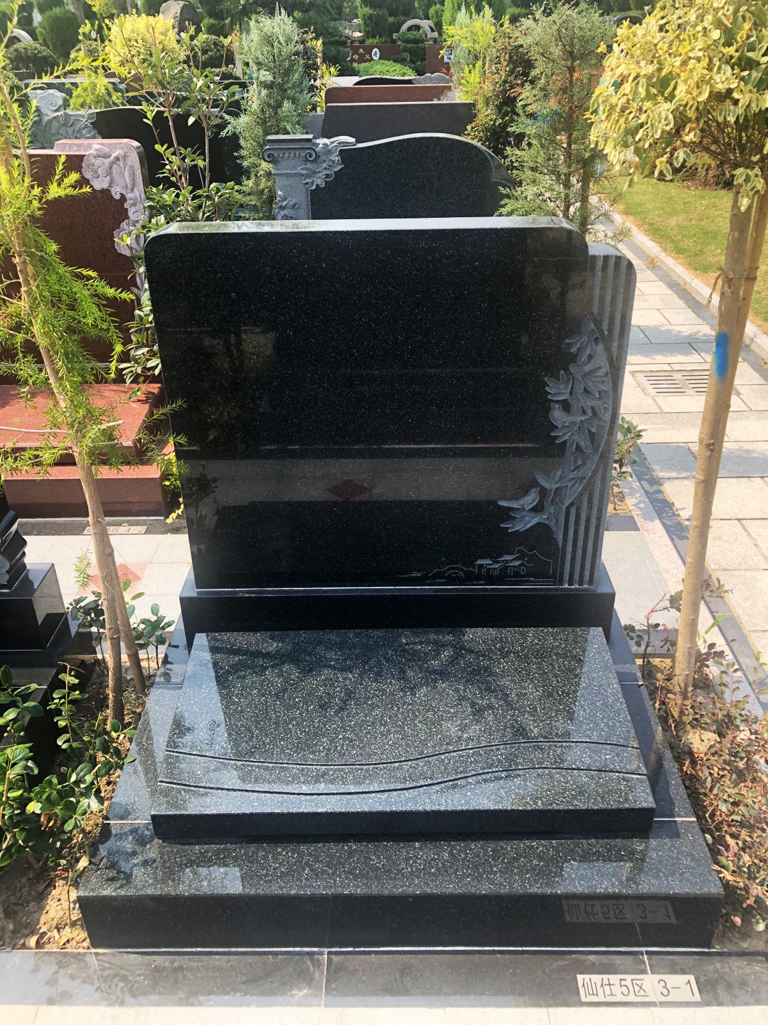 仙仕5區1.jpg