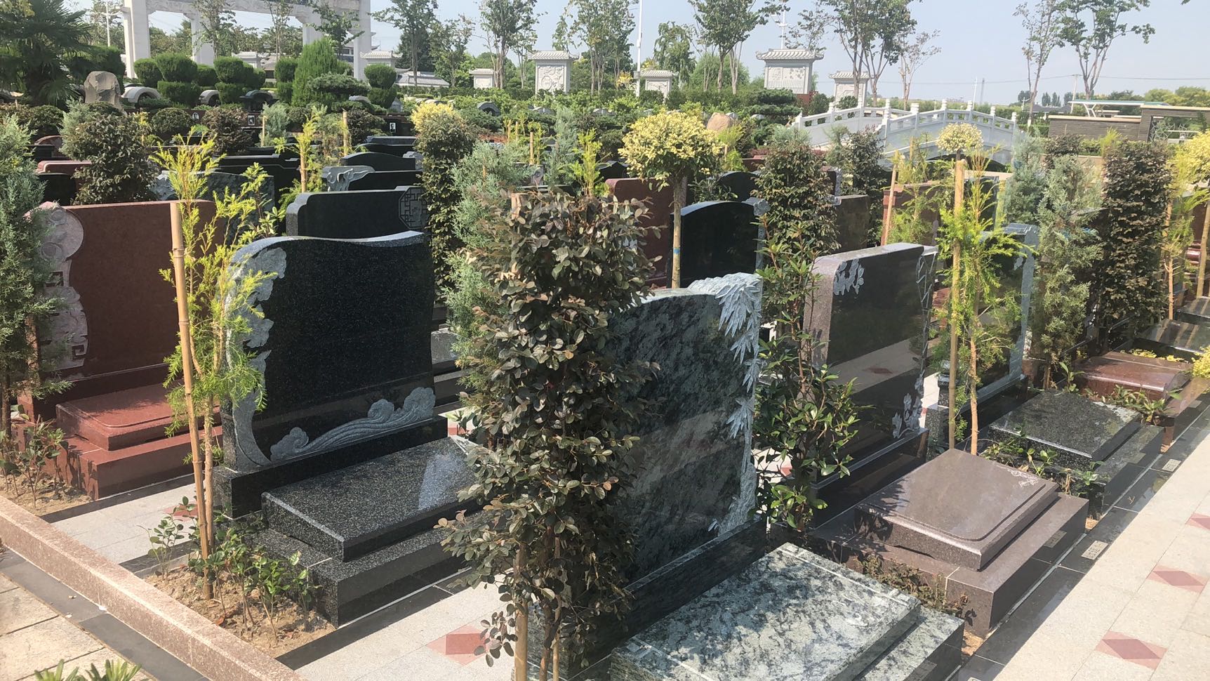 仙仕5區全.jpg