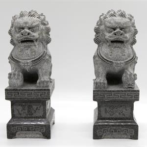 青獅子-圖集-2